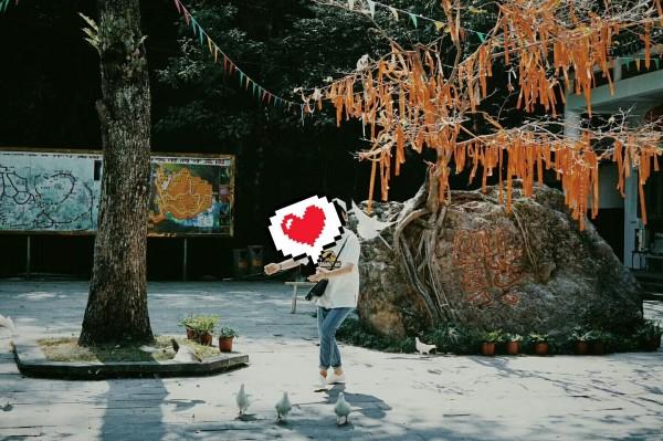 《一年一度喜剧大赛》团建?蒋龙+史策混搭抗日喜剧《狗剩快跑》