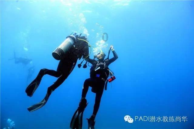 英语宝下载游戏画面