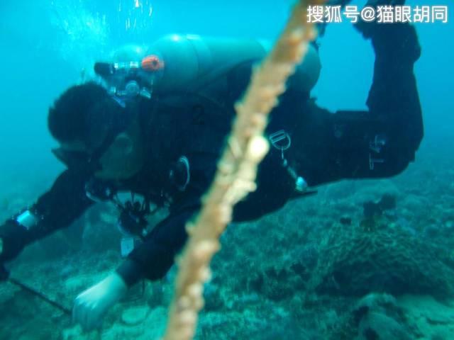 全球患者仅500多！男子右脸肿成“鹌鹑蛋”，原来是这罕见病…