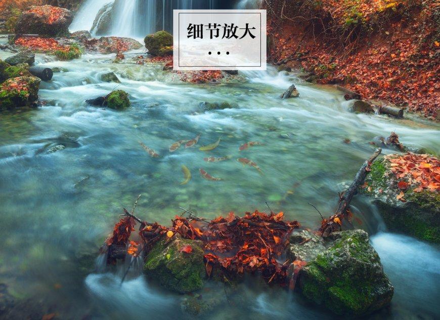 刺客信条起源