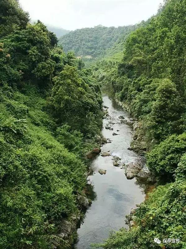 全都是凶手