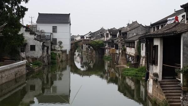 逗小猴开心系列164