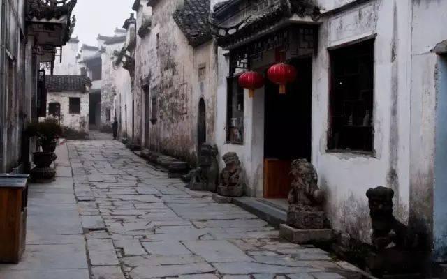拯救红松鼠